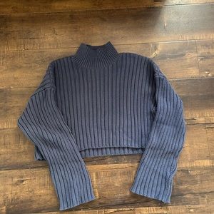 Zara Rib Knit Cropped Turtle Neck